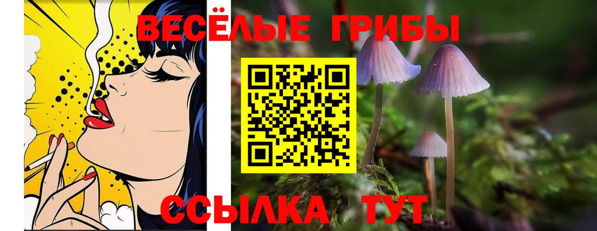 Галлюциногенные грибы Magic Shrooms  Вход с VPN  цена   Похвистнево 